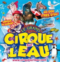 Le Grand Cirque sur l’eau. Le mercredi 6 août 2014 à perros-guirec. Cotes-dArmor. 